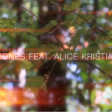 Roy Jones feat  Alice Kristiansen - Wicked Games (Original Mix)